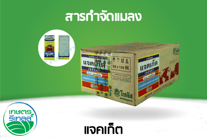 แจคเก็ต 100 ซีซี 1