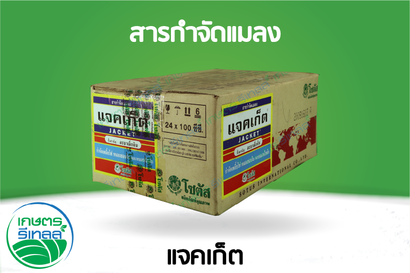 แจคเก็ต 100 ซีซี 2