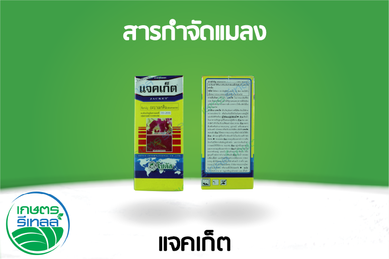 แจคเก็ต 100 ซีซี 3
